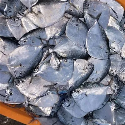 Pwason Lalin Jele Wonn antye